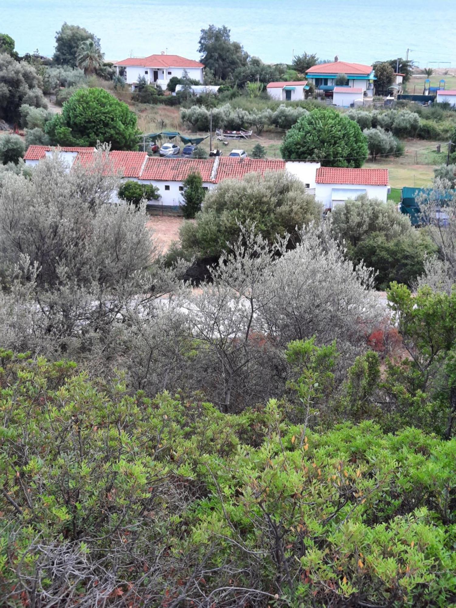 Bungalows Anestis Toroni Exterior foto
